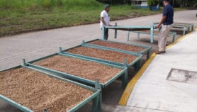 Insecticida ecológico protege cosechas en México