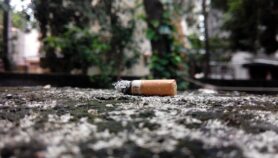 Tobacco taxes reducing consumption rates, says WHO