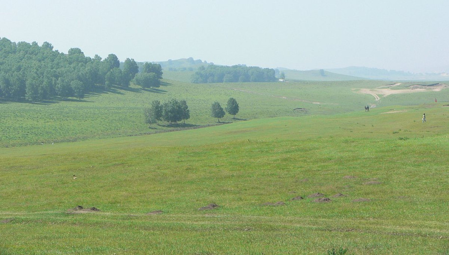文件来源:http://commons.wikimedia.org/wiki/File Inner_Mongolia_grassland_ (2005) . jpg