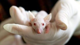 新的测试方法可以节省实验室动物