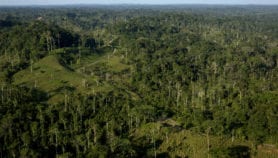Conservation spending could boost Brazil’s prosperity