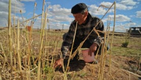 Poorly designed climate mitigation plans ‘could increase hunger’