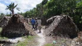 马达加斯加：一个危害的自然保护区
