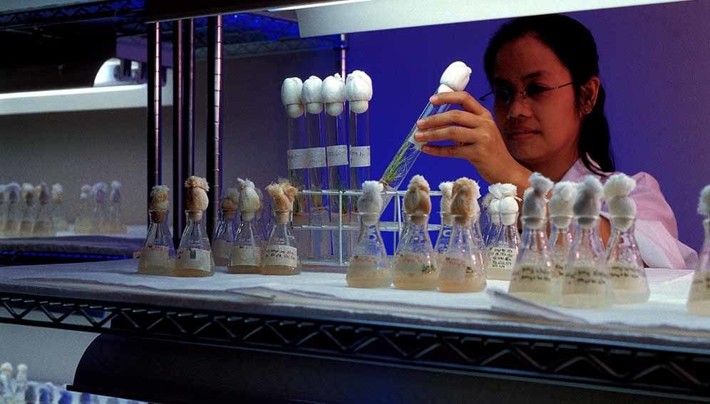 Science - Philipines laboratory