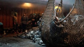 沿海渔业社区的面对灾难