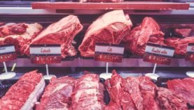 创新政策需要增加肉的需求